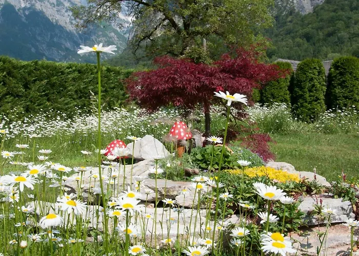 And Natasa 1 Apartman Trenta